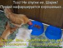 Іван Рева фотография #38 (источник - https://vk.com/id135870454)