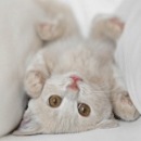 Віта Крунь фотография #1