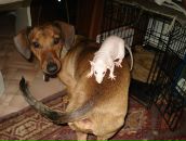 Фотография Сибагатовой Юлии