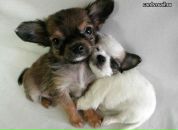 Марія Бойцун фотография #14 (источник - https://vk.com/id88114821)