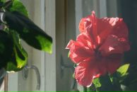 Фотография Белоус Олеси