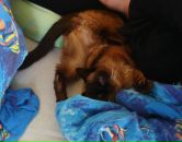 Фотография Максимовой Леры