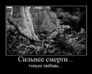 Рома Тимофеєв фотография #23 (источник - https://vk.com/id20830054)