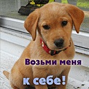 Вадім Охріменко фотография #13 (источник - https://vk.com/id147001522)