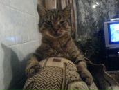 Макс Заріцький фотография #32 (источник - https://vk.com/id62543763)