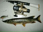 Сергій Демидюк фотография #4 (источник - https://vk.com/id19099281)