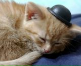 Фотография Лединой Ирины