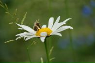 Фотография Нии Анастасии