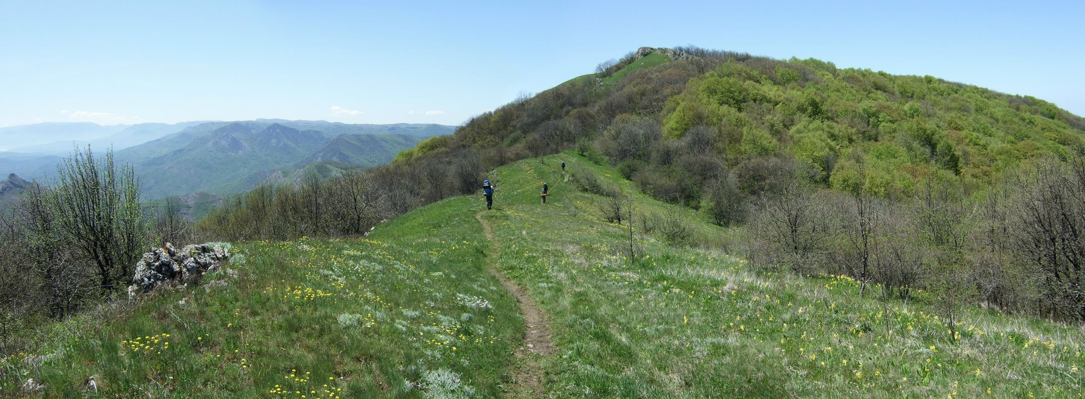 Ihawk Ihawk фотография #27