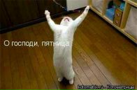 Андрій Хомищак фотография #36 (источник - https://vk.com/id70294126)