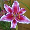 Maria Popova фотография #5 (источник - https://vk.com/id4723533)