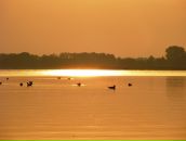 Ірина Ярова фотография #24 (источник - https://vk.com/id50555665)