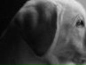 Іванна Майданська фотография #31 (источник - https://vk.com/id85635594)