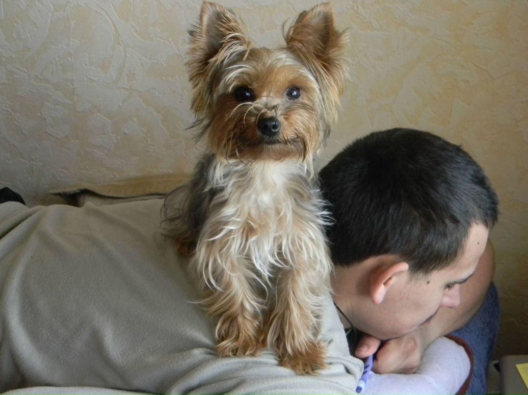 Вован Sid фотография #28