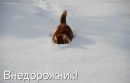 Андрій Лукянчук фотография #26 (источник - https://vk.com/id154941590)