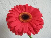 Фотография Точки Анны