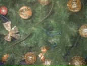 Роман Гріндзяк фотография #39 (источник - https://vk.com/id112149222)