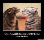 Ігор Петриця фотография #34 (источник - https://vk.com/id7978946)