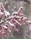 Фотография Пыченковой Татьяны