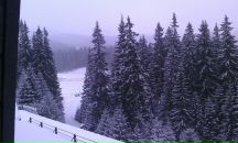 Фотография Щербаковой Олеси