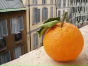 Фотография Саар Татьяны