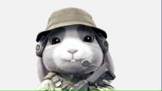 Фотография Шавкуна Артёма