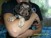 Фотография Malikina Natalia