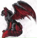 Фотография Еленик Катерины