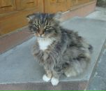 Євгеній Дреботюк фотография #2 (источник - https://vk.com/id11831101)