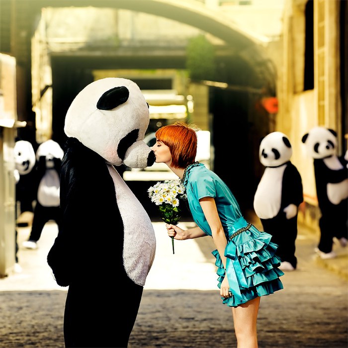 Илья Напастюк фотография #21