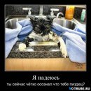 Фотография Обухова Алексея