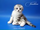 Іван Демчишин фотография #29 (источник - https://vk.com/id138180556)