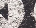 Олексій Киричук фотография #19 (источник - https://vk.com/id156610682)