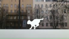 Oleg Tsvetkov фотография #26 (источник - https://vk.com/id102913)