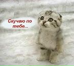 Улянка Підріз фотография #20 (источник - https://vk.com/id44171361)