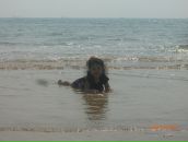 Фотография Афониной Татьяны