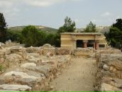 Фотография Анохиной Светланы