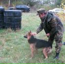 Фотография Дроздова Олеся