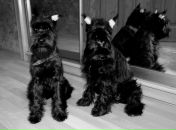 Фотография Дегтярева Александра