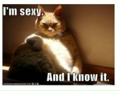 Фотография Погорелова Евгения