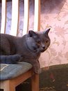 Даша Ларина фотография #4 (источник - https://vk.com/id140570919)