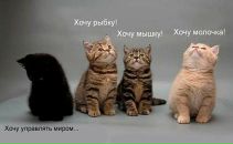 Фотография Ильина Сергея