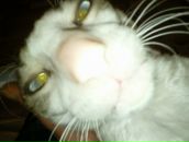 Фотография Самоненко Ольги