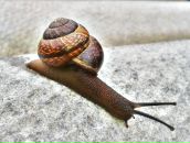 Фотография Апальковой Светланы