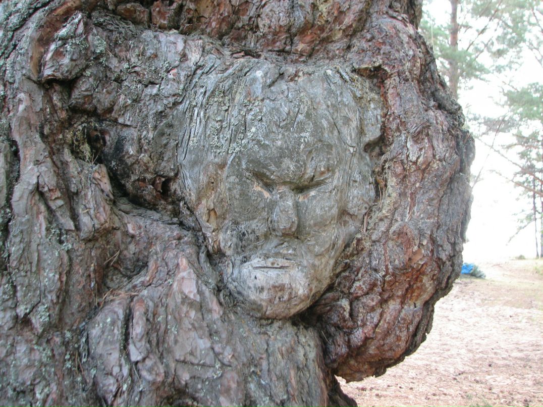 Николай Савельев фотография #10