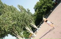 Фотография Лопаткиной Ольги