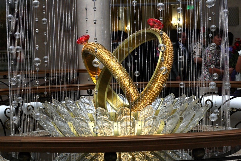 Алтына Тлемисова фотография #32