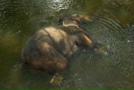 Даша Дашина фотография #30 (источник - https://vk.com/id2891457)