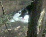 Марічка Ткач фотография #30 (источник - https://vk.com/id85134358)