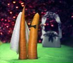 Фотография Горбушиной Екатерины